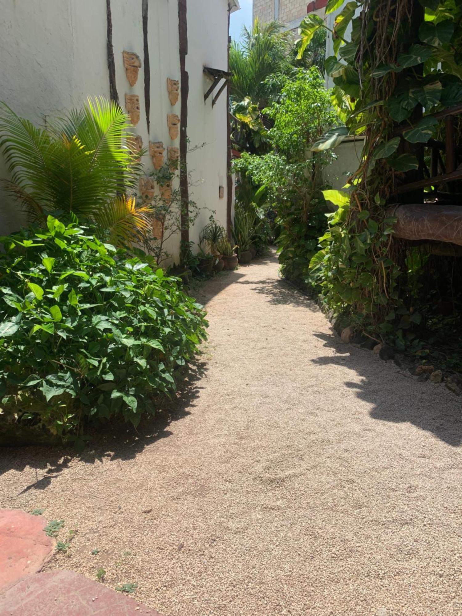 Casa Caribe Cancun Luaran gambar A typical alleyway in Tulum