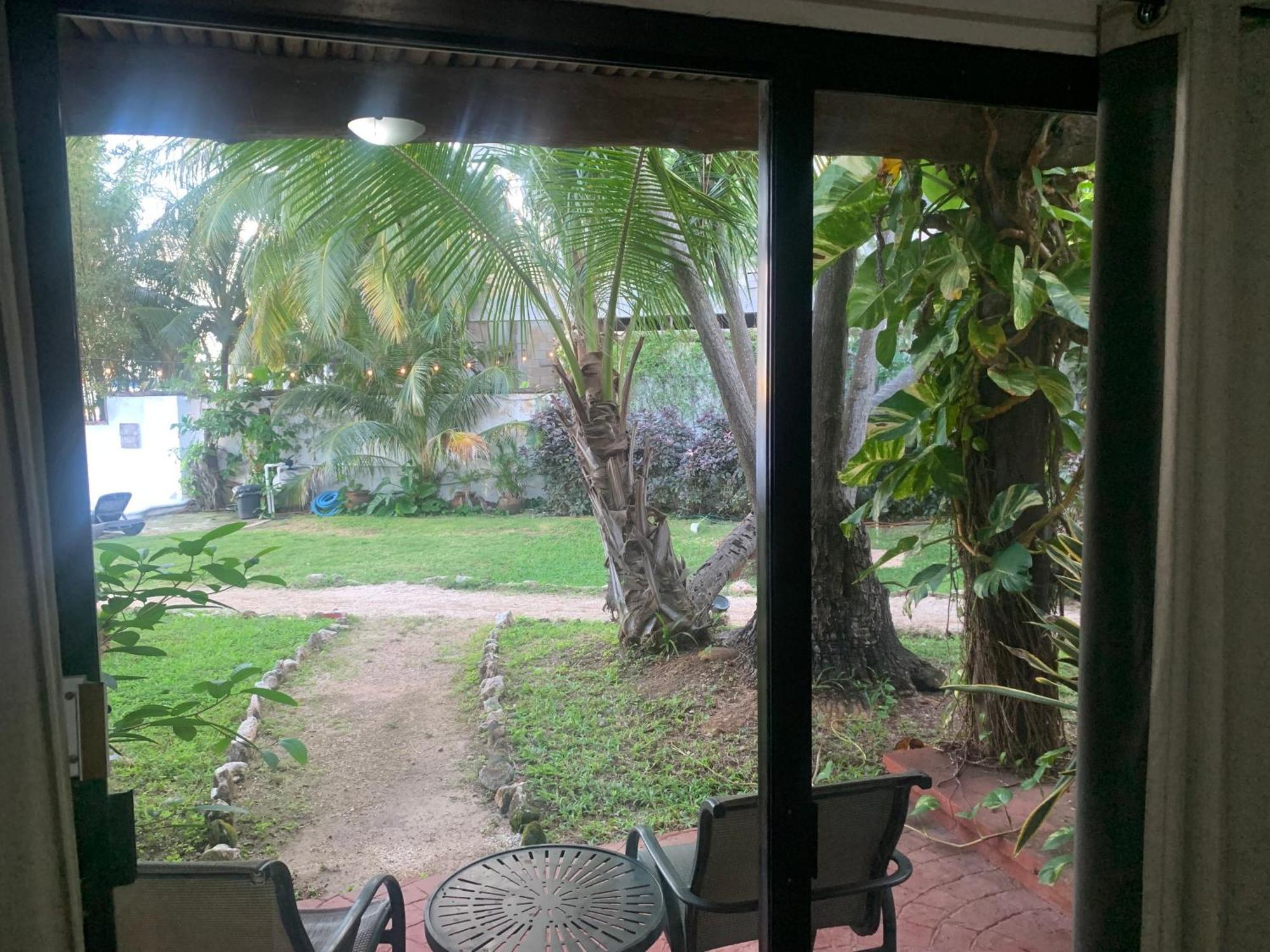 Casa Caribe Cancun Luaran gambar View of the garden from the living room